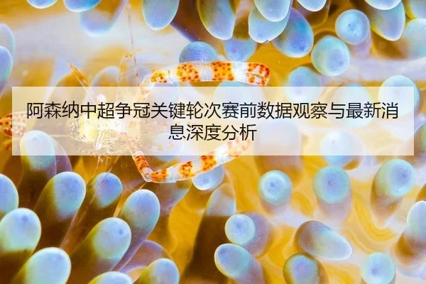 阿森纳中超争冠关键轮次赛前数据观察与最新消息深度分析